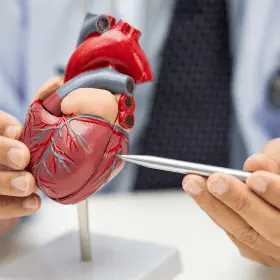 Cardiology